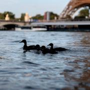 Ankor på floden Seine i Paris. 