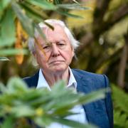 Sir David Attenborough.