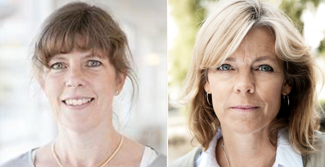 Ulrika Holmberg och Karin Brynell Göteborgs universitet/TT