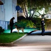 Polishund i Tensta under måndagskvällen. 