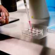 Arkivbild: Laboratoriet på Fertilitetskliniken vid Gärdet där äggfrysning genomförs.