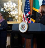 Tanzanian President Samia Suluhu Hassan i ett möte med Harris i Washington i december.  Patrick Semansky / AP