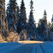 Arkivbild från snöfall på en väg i Fjätervålen i Norra Dalarna.