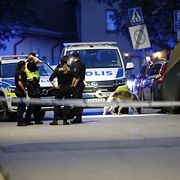 Polisinsatsen.