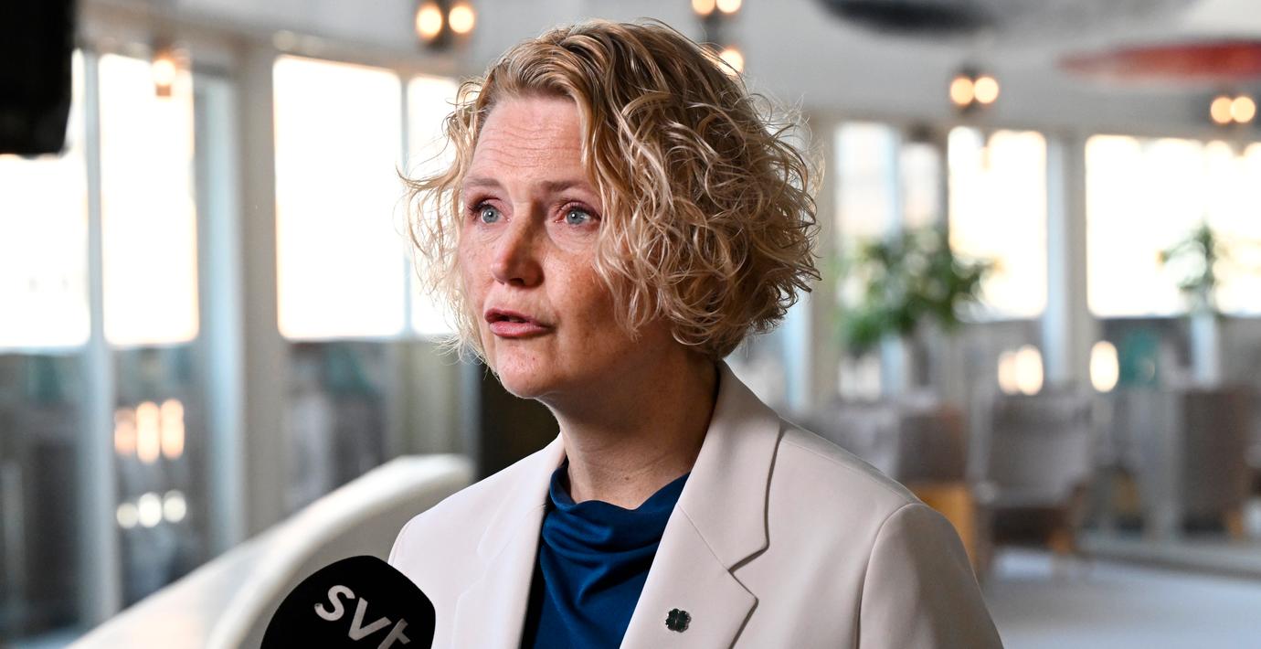 Centerpartiets partiledare Anna-Karin Hatt kommenterar att hon avgår.