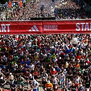 Starten av Stockholm marathon vid Stockholms Stadion förra året.