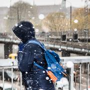 Träden hade redan börjat skifta i grönt i Stockholm när snöfallet kom i maj