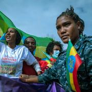 Protester i Addis Abeba mot TPLF, rebellgruppen i Tigray. 