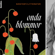 Gunnhild Øyehaug  