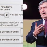 Gordon Brown vill att Storbritannien stannar i EU.