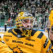 Skellefteås målvakt Strauss Mann jublar med lagkamrater efter final fyra i SHL mellan Rögle och Skellefteå i Ängelholm.
