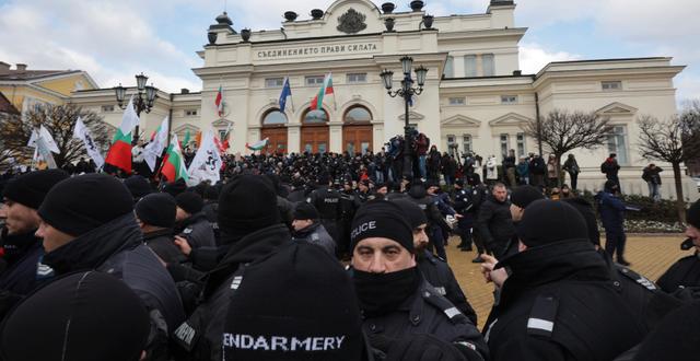 Ett tusental demonstranter samlades utanför parlamentet. Valentina Petrova / AP