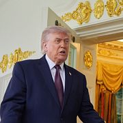 USA:s president Donald Trump.