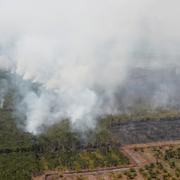 Skogsbränderna i Indonesien har rasat i över en månad.