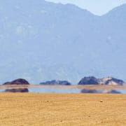 Resultatet efter skatt var -214 miljoner kronor jämfört med förhandstipset 28,2 miljoner kronor.