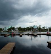 Lugnet före stormen i Steinhatchee, Florida. Rebecca Blackwell / AP