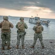 Militärövning på Gotland 2022. Arkivbild.