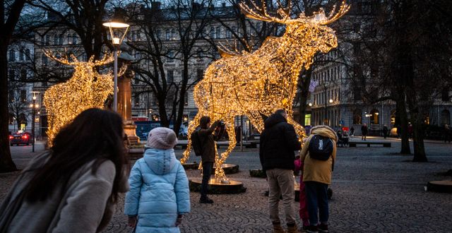Stockholms julälgar, här på Nybroplan, väntas lysa mer sällan denna jul. Helena Landstedt/TT
