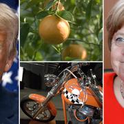 Donald Trump, apelsinträd, Harley-Davidson-motorcykel, Tysklands förbundskansler Angela Merkel.