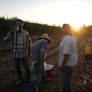 Lantbrukare i Kalifornien.