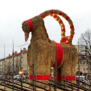 Årets bock överlevde julafton. 