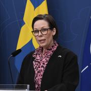 Utrikesminister Maria Malmer Stenergard (M).