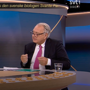 Klas Kärre i SVT:s direktsändning