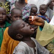 Ett barn i Nigeria får vaccin mot polio.