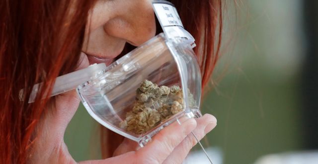 En kvinna luktar på cannabis. Elaine Thompson / AP