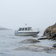 Dödssiffran är den högsta på fem år.