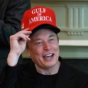 Musk. Arkivbild.