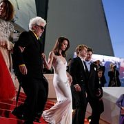 Filmfestivalen har i vanlig ordning bjudit på många röda mattan-event.