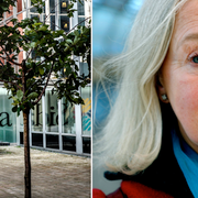 Inga-Britt Ahlenius. 