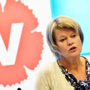 Ulla Andersson (V): ”Det är en feministisk reform”