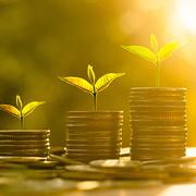 Money growing concept,Business success concept,Trees growing on pile of coins money over sun flare silhouette style; Shutterstock ID 250154119