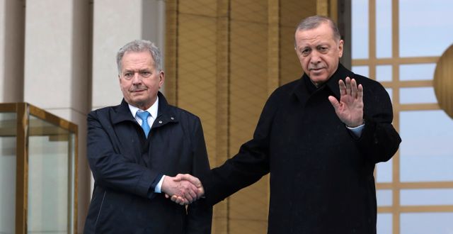 Presidenterna Sauli Niinistö och Recep Tayyip Erdogan.  Burhan Ozbilici / AP