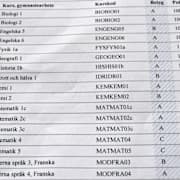 Slutbetyg från gymnasiet 2017.