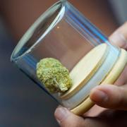 Cannabis, bild från Thailand 9 juni. 