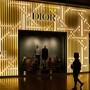Arkivbild. Dior-butik och strutsar.
