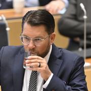 Jimmie Åkesson (SD) under onsdagens partiledardebatt i riksdagen.