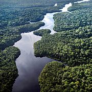 Amazonas. Illustrationsbild.