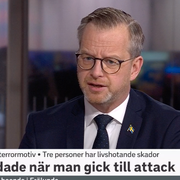 Mikael Damberg. Bild från SVT Morgonstudion.