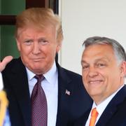 Donald Trump och Viktor Orbán.