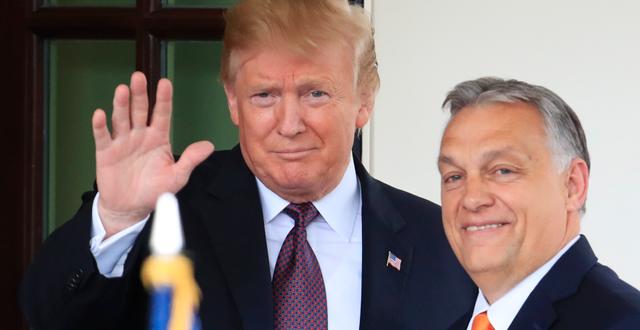 Donald Trump och Viktor Orbán. Manuel Balce Ceneta / AP