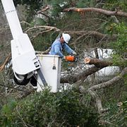 Nedfallna träd städas upp efter Isaias framfart i Florida.