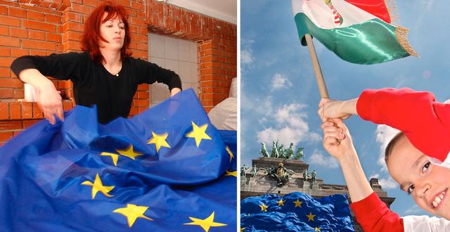 EU-yra 2004. Maria Szilagyi i Budapest tillverkar EU-flaggor för att fylla ett nytt ungerskt behov.  TT