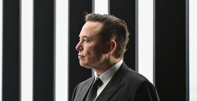 Teslas vd Elon Musk. Patrick Pleul / AP