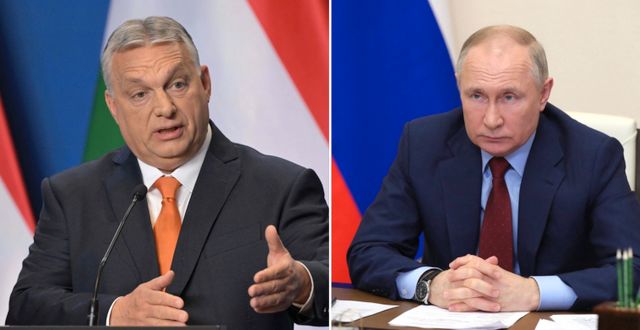 Viktor Orbán/Vladimir Putin. AP