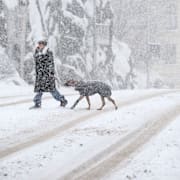 Kraftigt snöfall i Stockholm på onsdagen. 