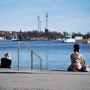 Stockholmare i solen vid vattnet vid Skeppsbrokajen. I bakgrunden Gröna Lund.